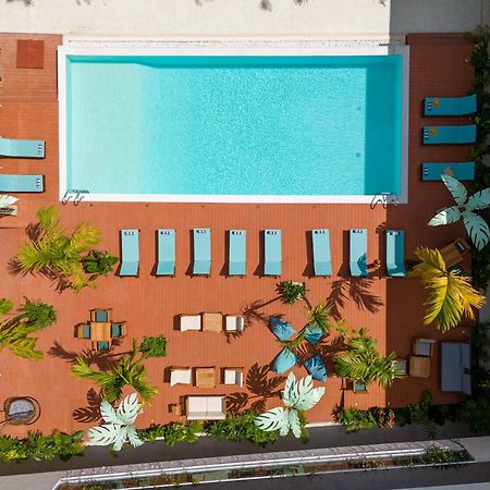 فندق Samawa Living باجي المظهر الخارجي الصورة